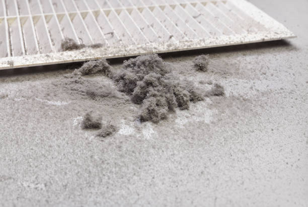 Best Emergency Air Duct Cleaning  in Mills River, NC