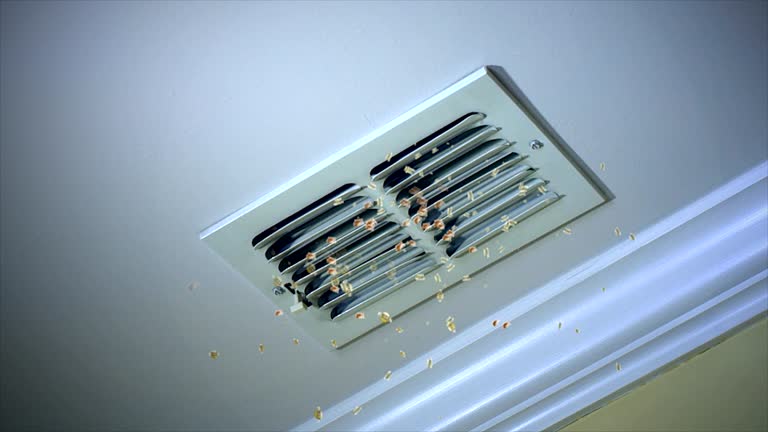 Best Best Air Duct Cleaning Company  in Mills River, NC