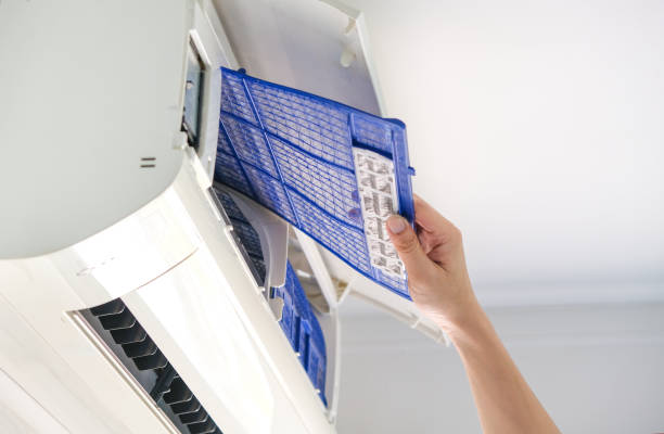 Best Home Air Vent Cleaning  in Mills River, NC